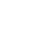 The Grub Fest